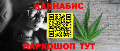 гидропоника Камышлов