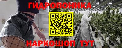 гидропоника Камышлов