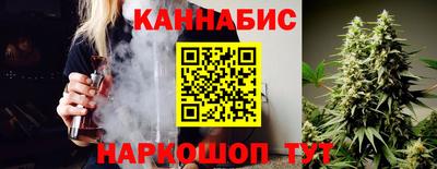 гидропоника Камышлов