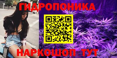 гидропоника Камышлов