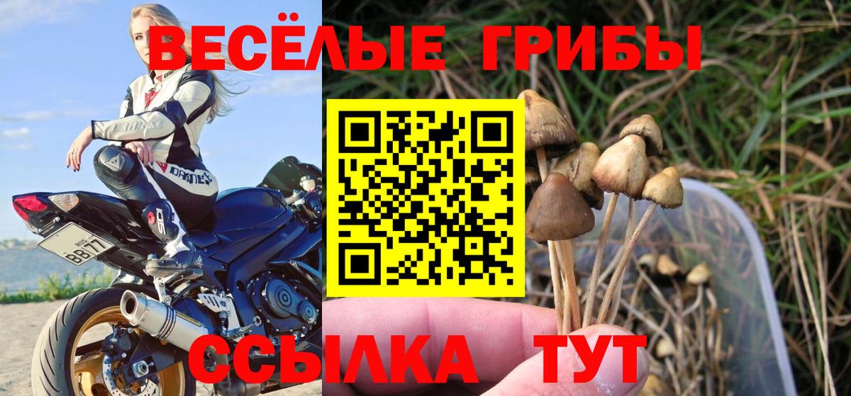 Псилоцибиновые грибы мухоморы Красный Сулин