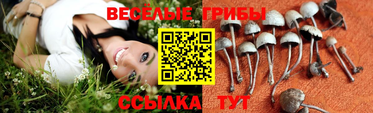 Красный Сулин  Псилоцибиновые грибы GOLDEN TEACHER  Галлюциногенные грибы ЛСД  Вход с VPN 